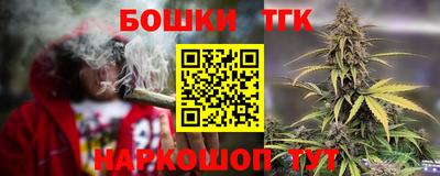 индика Мариинск